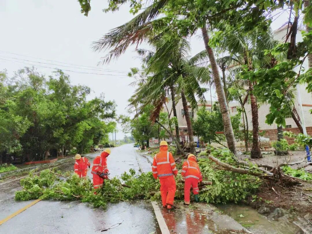 防御臺(tái)風(fēng)“麥德姆”，海南高速養(yǎng)護(hù)公司全力以赴